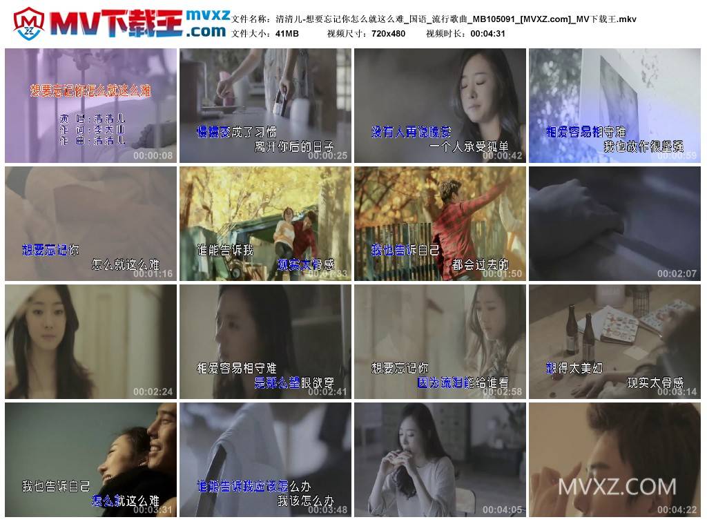 清清儿-想要忘记你怎么就这么难_国语_流行歌曲_MB105091